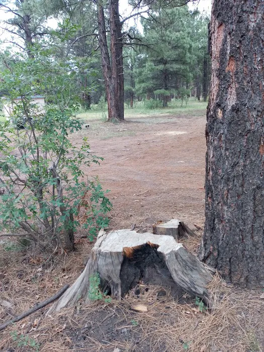 Brown Creek Campground 4