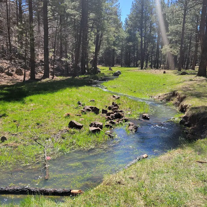 Brown Creek Campground 2