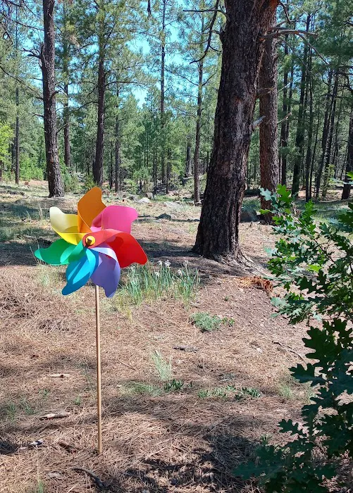 Brown Creek Campground 5