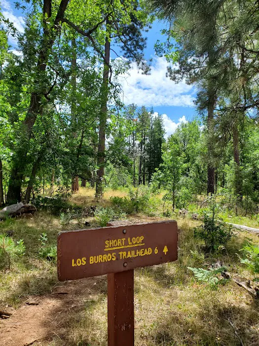 Los Burros Campground 6