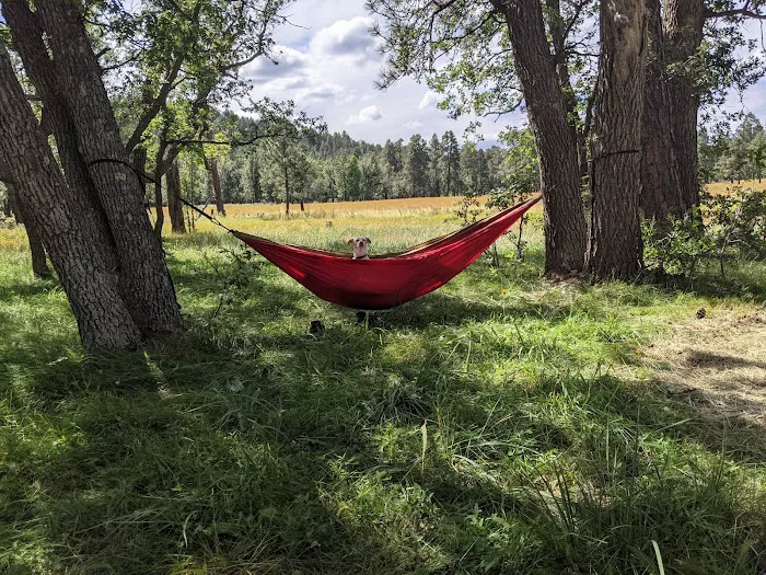 Los Burros Campground 0