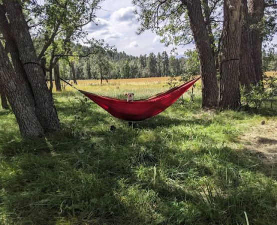Los Burros Campground