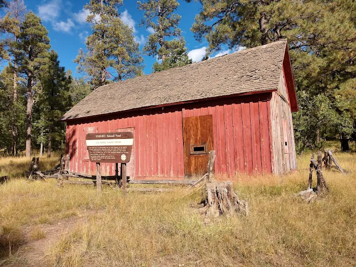 Los Burros Campground 2