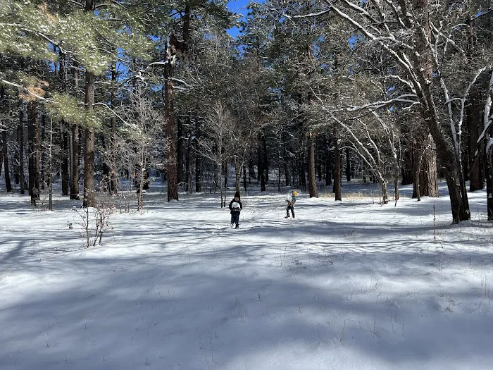 Los Burros Campground 4