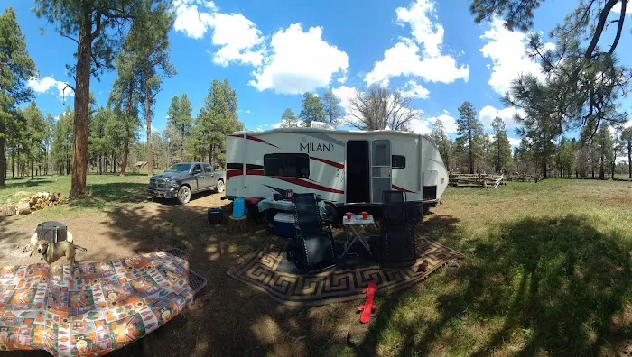 Los Burros Campground 9