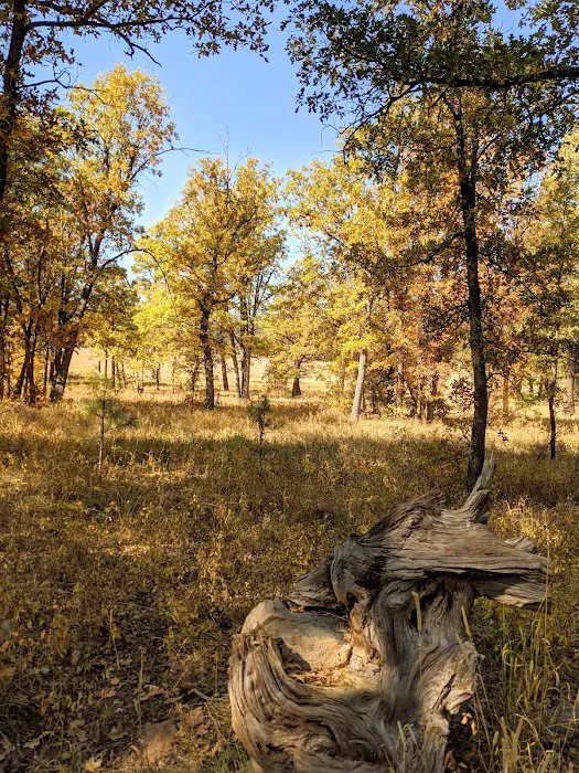 Los Burros Campground 8