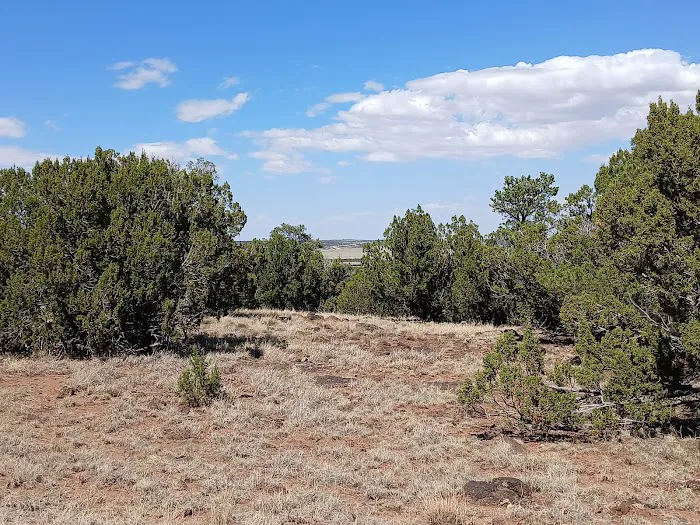 Ridge Valley Ranch 9