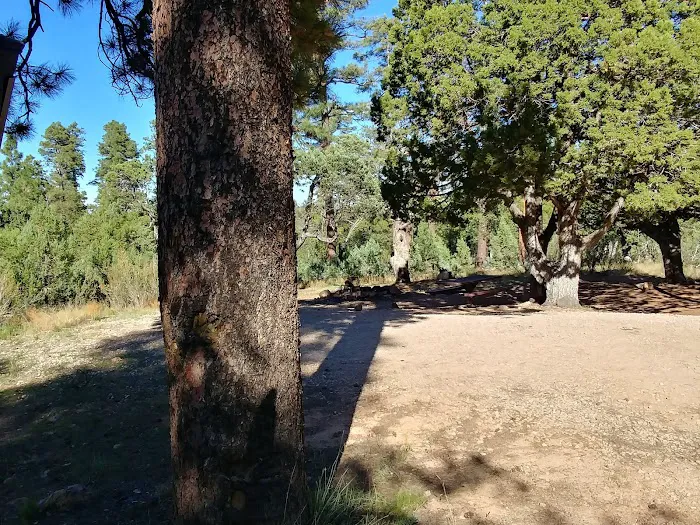 Chevelon Canyon Lake Campground 0