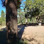 Chevelon Canyon Lake Campground