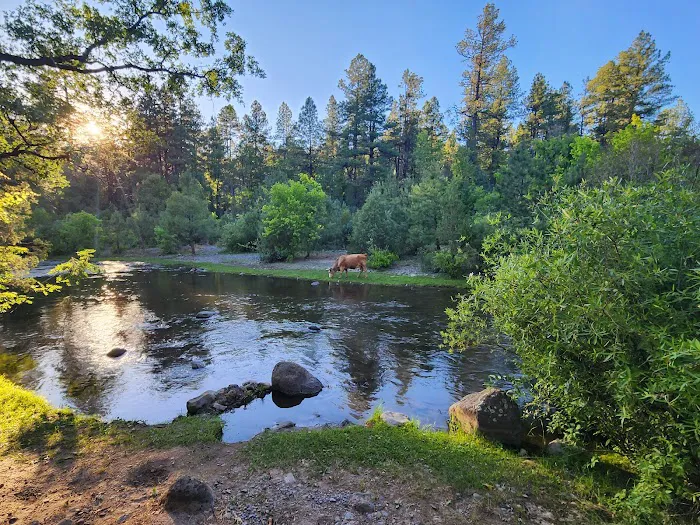 Upper Log Campground 5