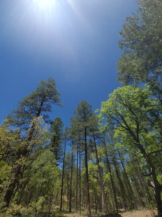 Upper Log Campground 0