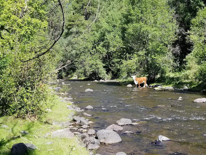 Upper Log Campground 2