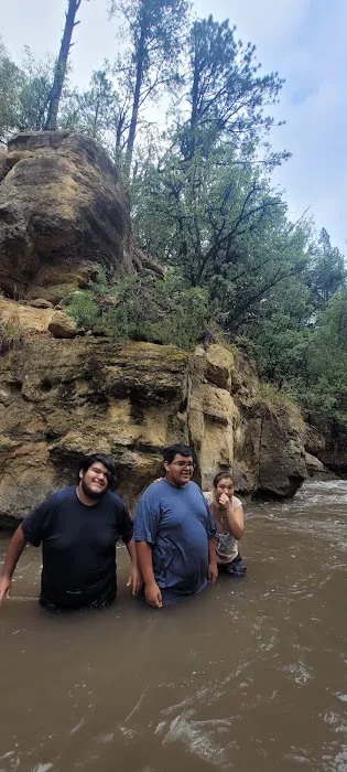 Upper Log Campground 6