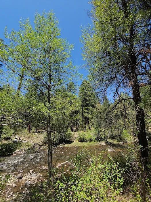 Upper Log Campground 3