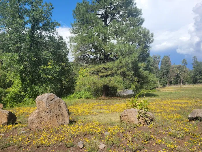 Upper Log Campground 7
