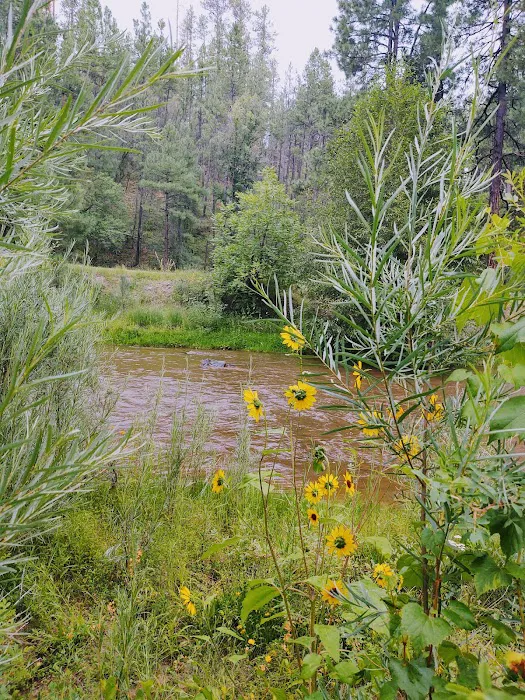Lower Log Road Campground 8