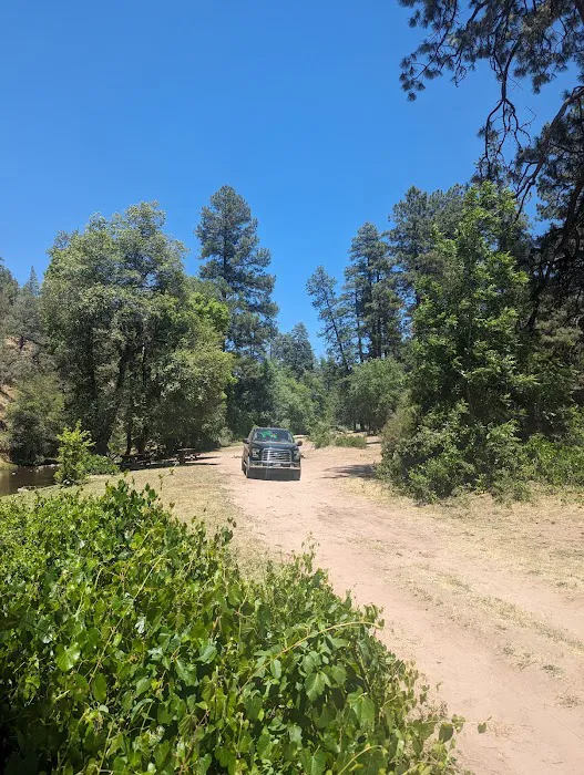 Lower Log Road Campground 3