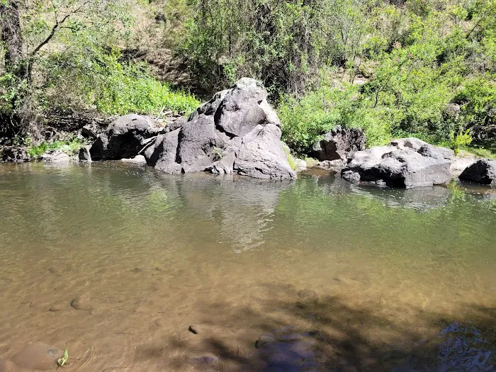Lower Log Road Campground 7