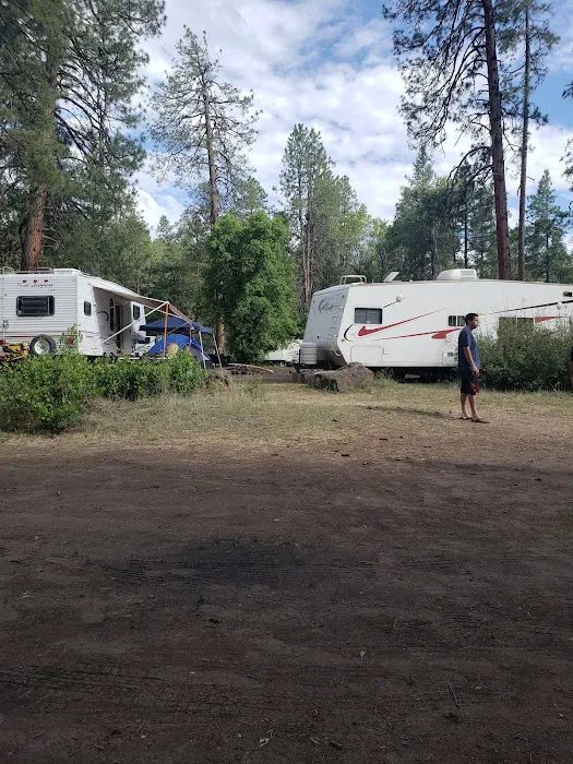 Lower Log Road Campground 1