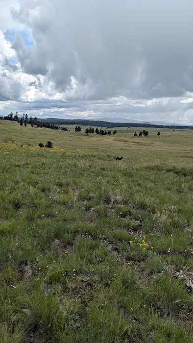 White Mountain Recreation Camp 1