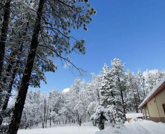 Tonto Rim Christian Camp