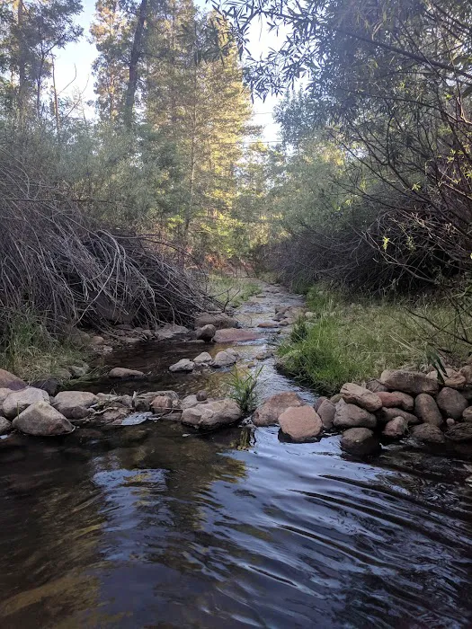 Tonto Rim Christian Camp 9