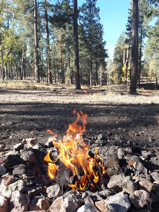 Bear Canyon Lake and Camping Area 5