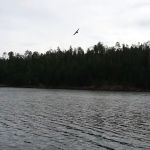 Merganser Trailhead (recgovnpsdata)