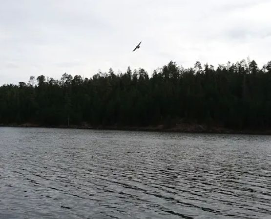 Merganser Trailhead (recgovnpsdata)