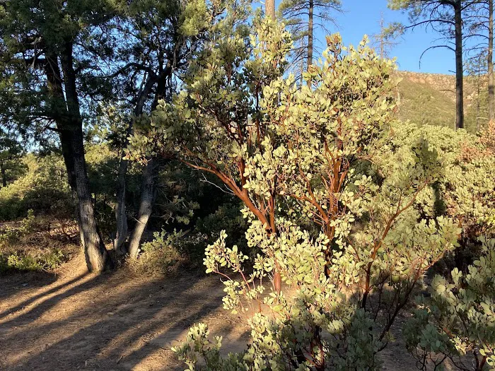Upper Tonto Creek Campground 9