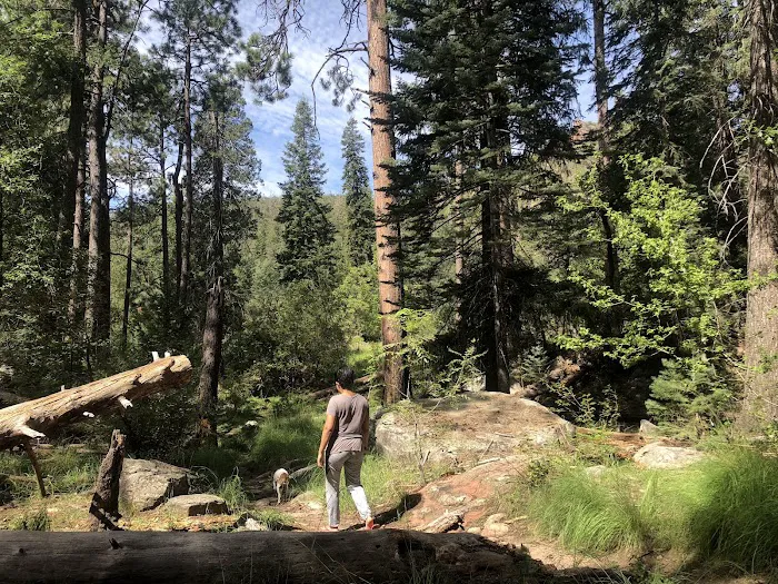 Upper Tonto Creek Campground 6