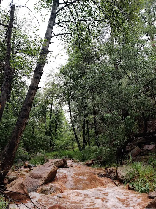 Upper Tonto Creek Campground 7