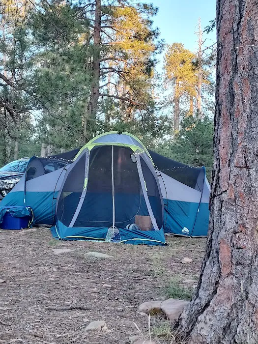 Fr 169 Campground 0