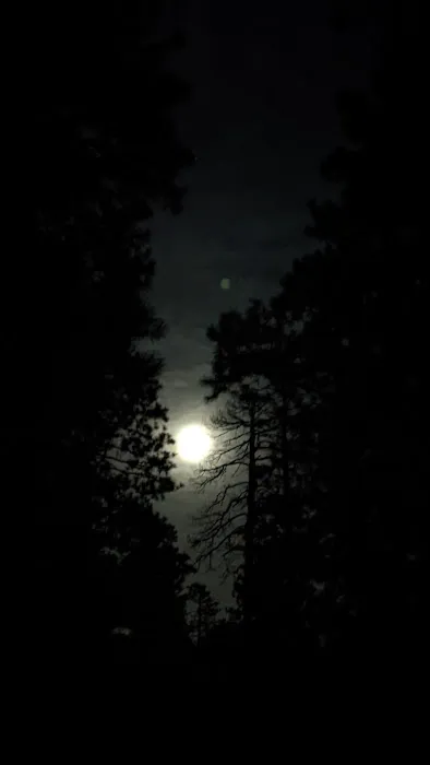 Fr 169 Campground 9