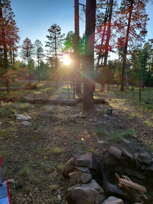 Fr 169 Campground 4