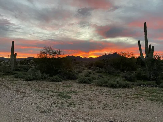 Cactus Forest Boondock Campground 0