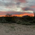 Cactus Forest Boondock Campground