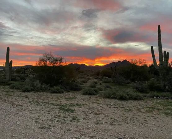 Cactus Forest Boondock Campground
