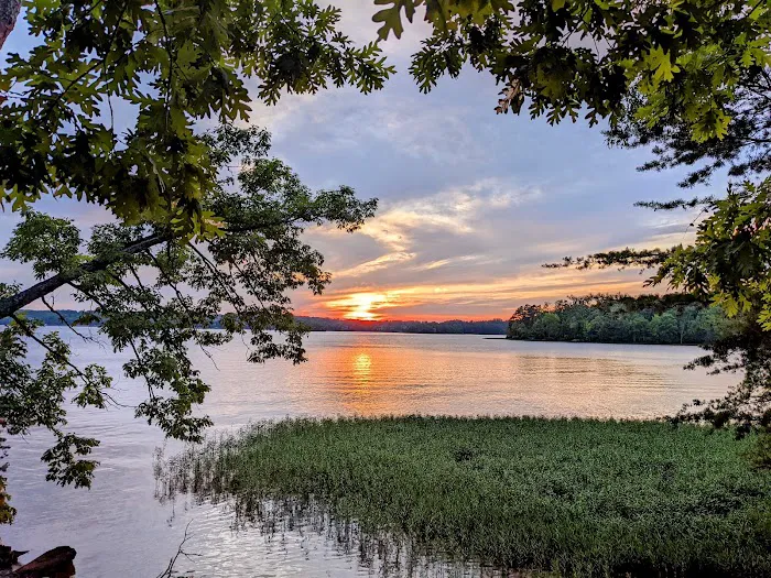 Badin Lake Campground 8