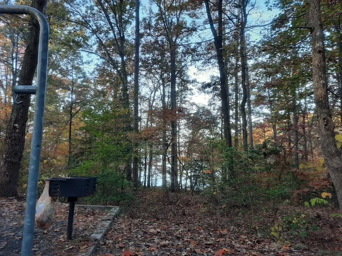 Badin Lake Campground 6