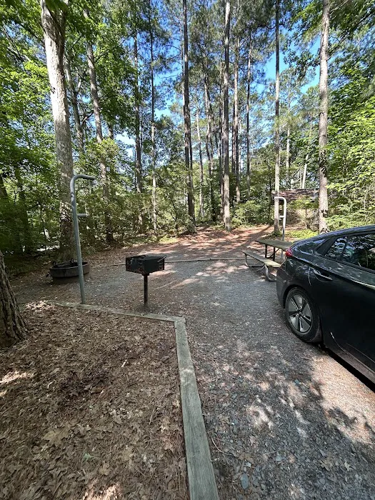 Badin Lake Campground Upper Loop 5