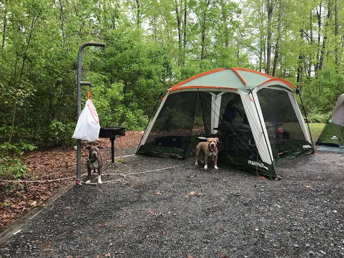 Badin Lake Campground Upper Loop 1