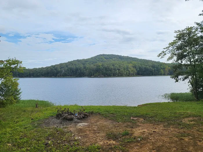 Badin Lake Campground Upper Loop 2