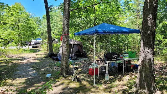 Art Lilley Campground 3