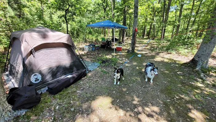 Art Lilley Campground 4