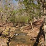 Morrow Mountain State Park Campground