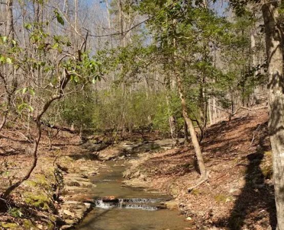 Morrow Mountain State Park Campground