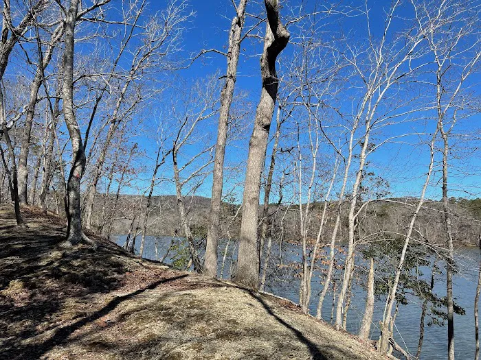 Morrow Mountain State Park Campground 8