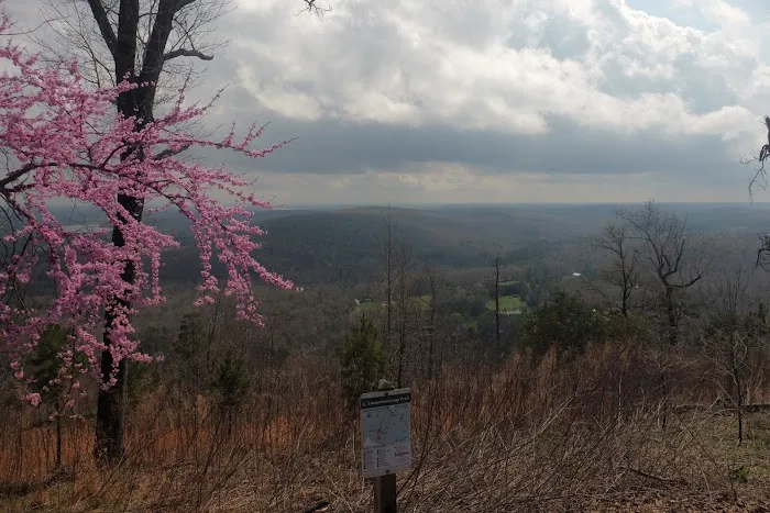 Morrow Mountain State Park Campground 2