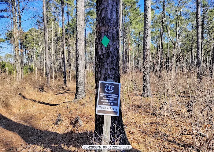Canebrake Horse Camp 9